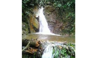 Finca en venta Calarca Quindio