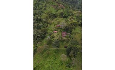 Finca en venta Calarca Quindio