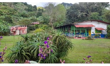 Finca en venta Calarca Quindio