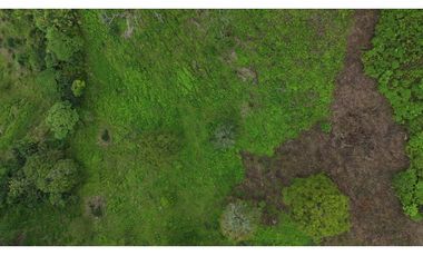 Finca en venta Calarca Quindio