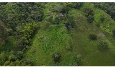 Finca en venta Calarca Quindio