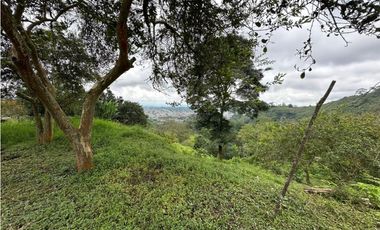 Finca en venta Calarca Quindio