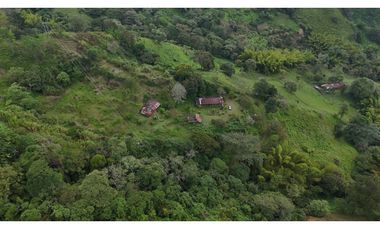 Finca en venta Calarca Quindio