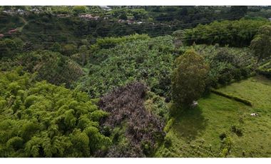 Finca en Venta en Circasia 9 cuadras