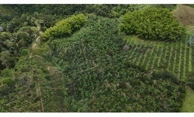 Finca en Venta en Circasia 9 cuadras