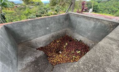 Finca en Venta en Circasia 9 cuadras