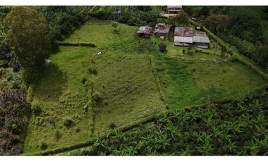 Finca en Venta en Circasia 9 cuadras