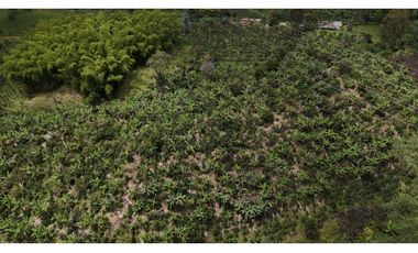 Finca en Venta en Circasia 9 cuadras