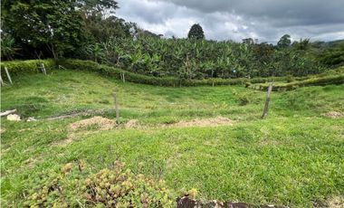 Finca en Venta en Circasia 9 cuadras