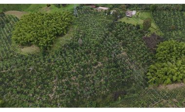 Finca en Venta en Circasia 9 cuadras