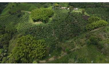 Finca en Venta en Circasia 9 cuadras