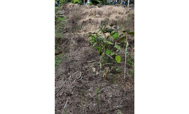 Lote en venta Circasia Quindío vereda san Antonio