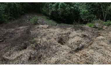 Lote en venta Circasia Quindío vereda san Antonio
