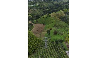 Finca en venta 44 Cuadras Productivas y con Potencial Turístico