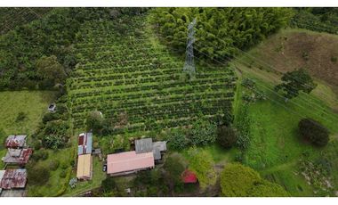 Finca en venta 44 Cuadras Productivas y con Potencial Turístico