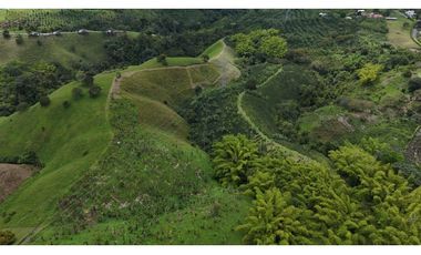 Finca en venta 44 Cuadras Productivas y con Potencial Turístico