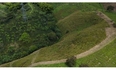 Finca en venta 44 Cuadras Productivas y con Potencial Turístico