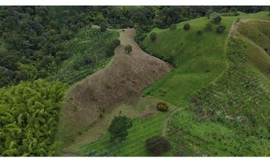 Finca en venta 44 Cuadras Productivas y con Potencial Turístico