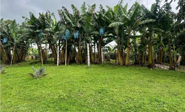 Finca en venta 44 Cuadras Productivas y con Potencial Turístico