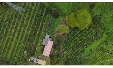 Finca en venta 44 Cuadras Productivas y con Potencial Turístico
