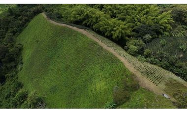 Finca en venta 44 Cuadras Productivas y con Potencial Turístico