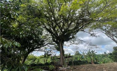 Finca en venta 44 Cuadras Productivas y con Potencial Turístico