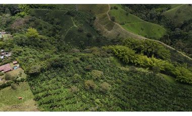 Finca en venta 44 Cuadras Productivas y con Potencial Turístico