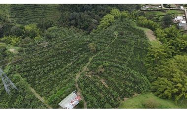 Finca en venta 44 Cuadras Productivas y con Potencial Turístico