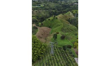 Finca en venta 44 Cuadras Productivas y con Potencial Turístico