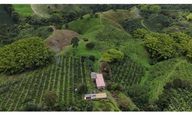 Finca en venta 44 Cuadras Productivas y con Potencial Turístico
