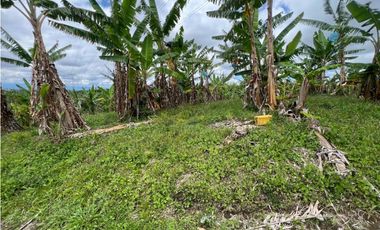 Finca en venta 44 Cuadras Productivas y con Potencial Turístico