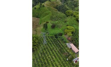 Finca en venta 44 Cuadras Productivas y con Potencial Turístico