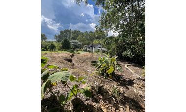 Lote en venta Circasia Quindío