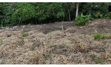 Lote en venta Circasia Quindío