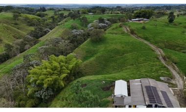 Finca ganadera en venta  50 Cuadras