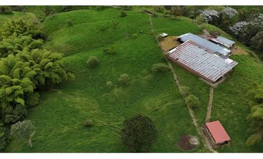 Finca ganadera en venta  50 Cuadras