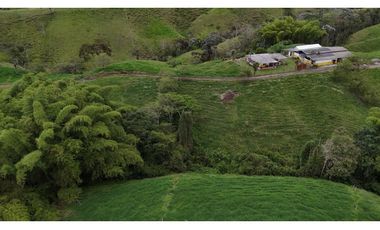 Finca ganadera en venta  50 Cuadras