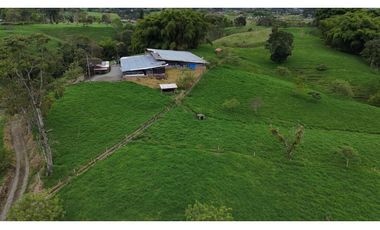 Finca ganadera en venta  50 Cuadras