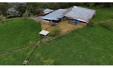 Finca ganadera en venta  50 Cuadras