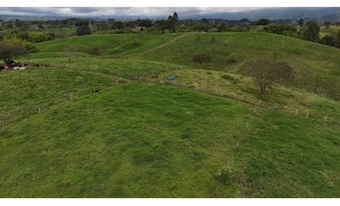 Finca ganadera en venta  50 Cuadras