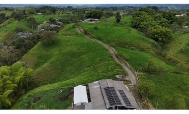 Finca ganadera en venta  50 Cuadras