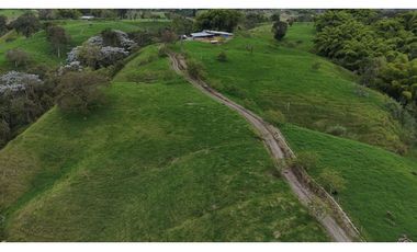 Finca ganadera en venta  50 Cuadras