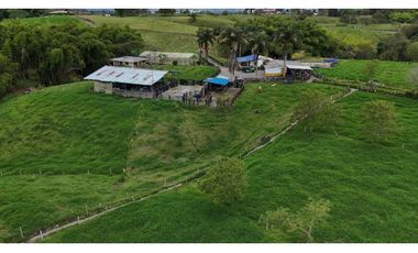 Finca ganadera en venta  50 Cuadras