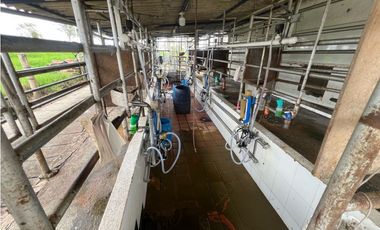 Finca ganadera en venta  50 Cuadras