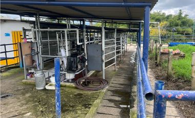 Finca ganadera en venta  50 Cuadras