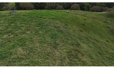 Finca ganadera en venta  50 Cuadras