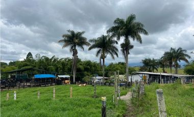 Finca ganadera en venta  50 Cuadras