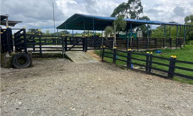Finca ganadera en venta  50 Cuadras