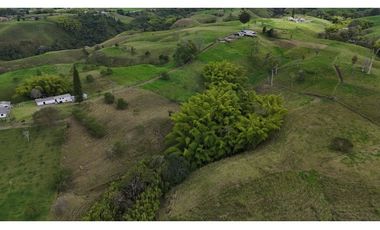 Finca en Venta Circasia Quindío 37 cuadras
