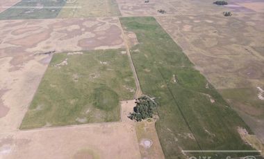 Campo  en venta Mixto de 246 has en Saladillo